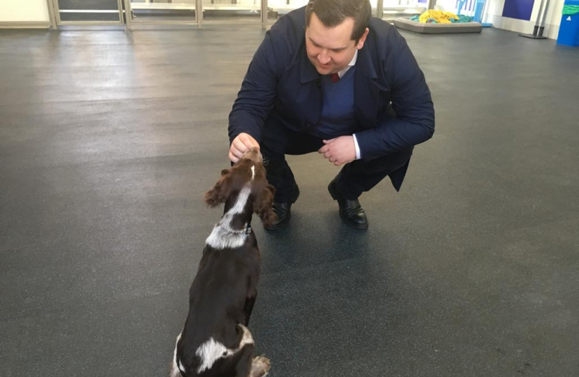 Louie French visit to Battersea Dogs