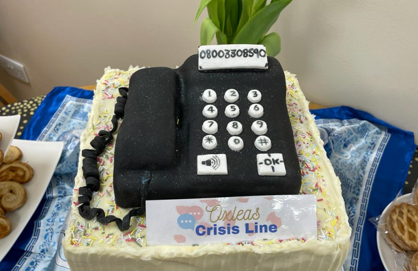 Crisis Line cake 