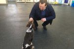 Louie French visit to Battersea Dogs